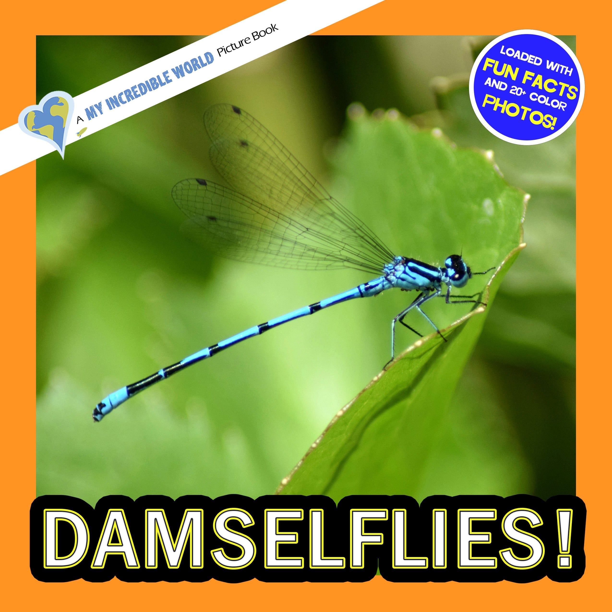 Damselflies! A My Incredible World Picture Book for Children